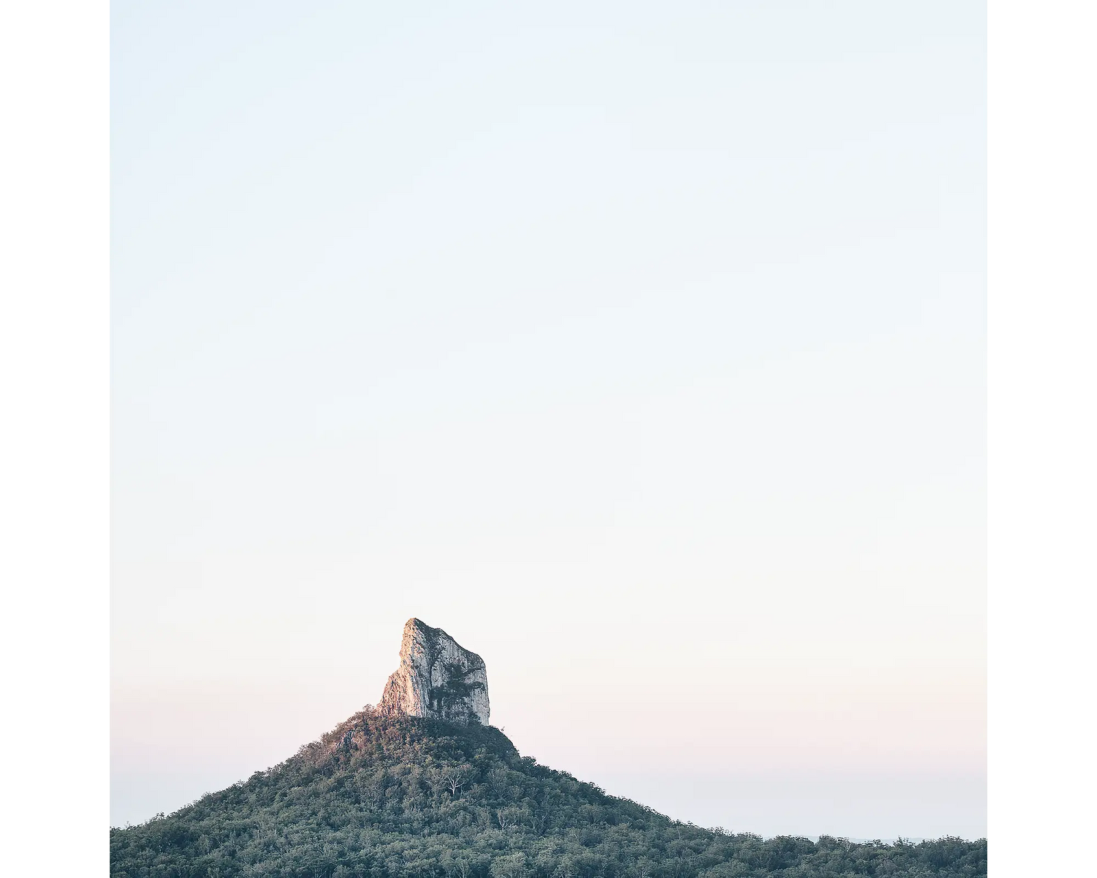 Crookneck. Mount Coonowrin, Glasshouse Mountains National Park, Queensland, Australia.