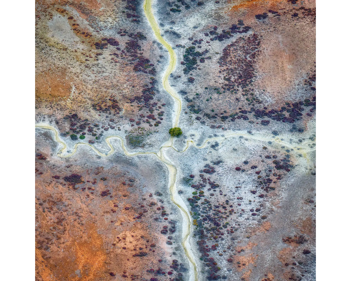 Abstract patterns in Roebuck Plains, The Kimberley, Western Australia.