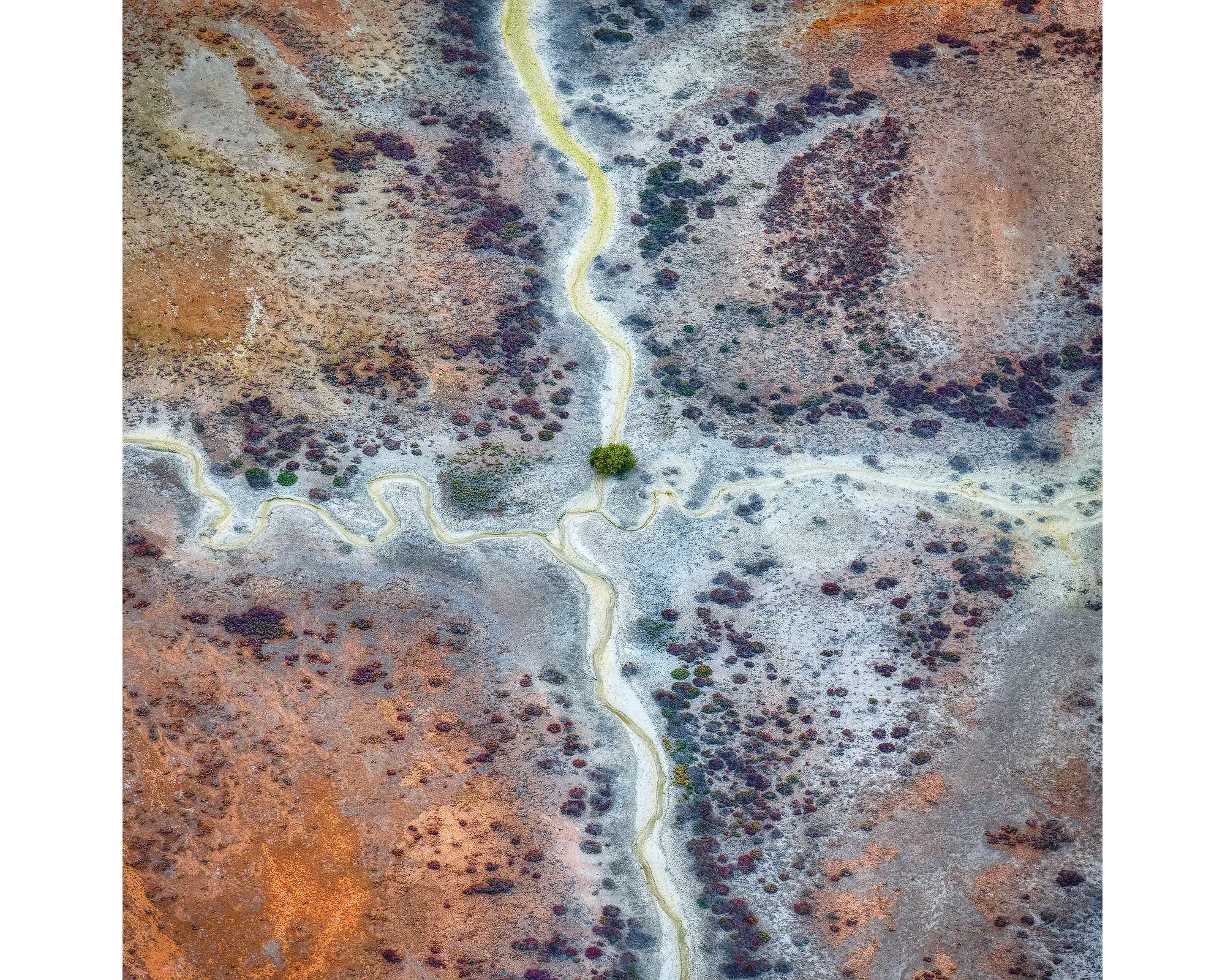 Crossroads - Abstract patterns, Roebuck Plains, The Kimberley, Western Australia.