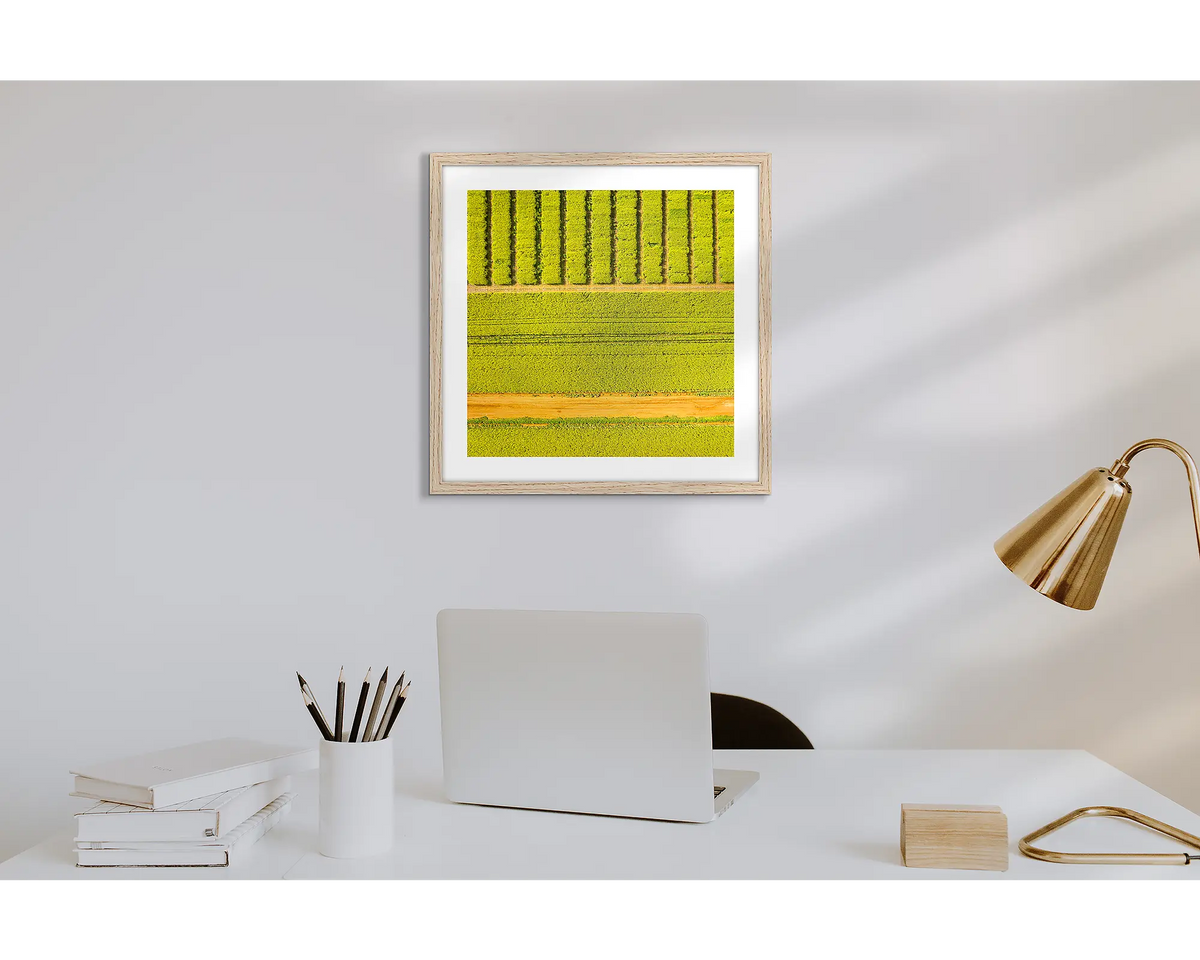 Cultivate. Wall art print of a canola field, with a timber frame in a work from home office.  