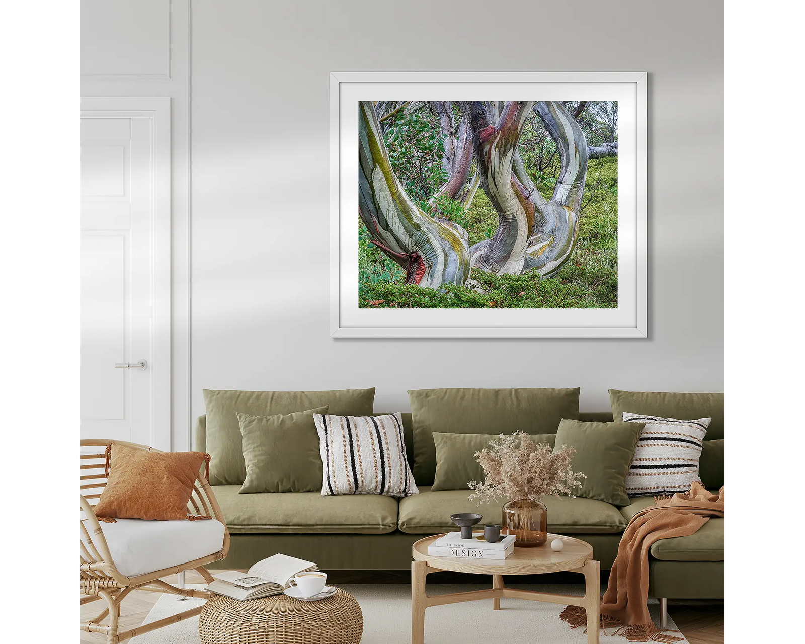Curves. Twisted Snow Gums in Kosciuszko National Park