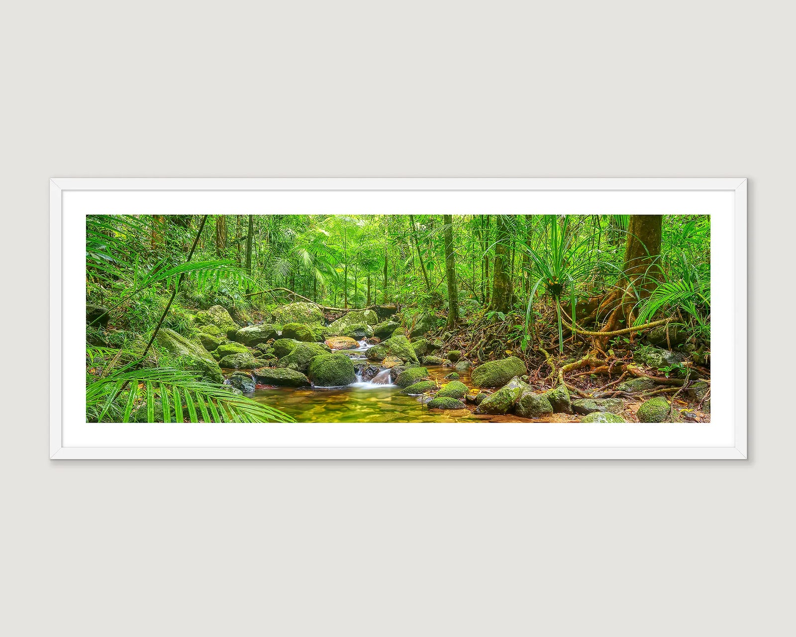 Framed photographic wall art print of a creek surrounded by lush green rainforest in the Daintree. 