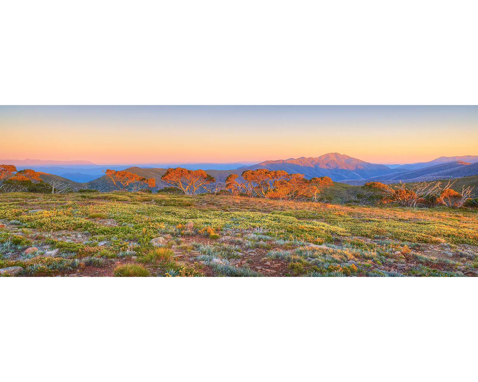 Sunrise over Mount Feathertop, Alpine National Park, Victoria. 