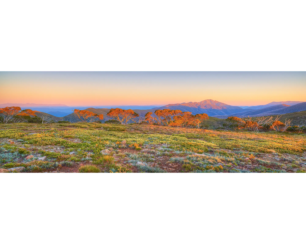 Day Break. Mount Feathertop sunrise, Alpine National Park, Victoria, Australia.