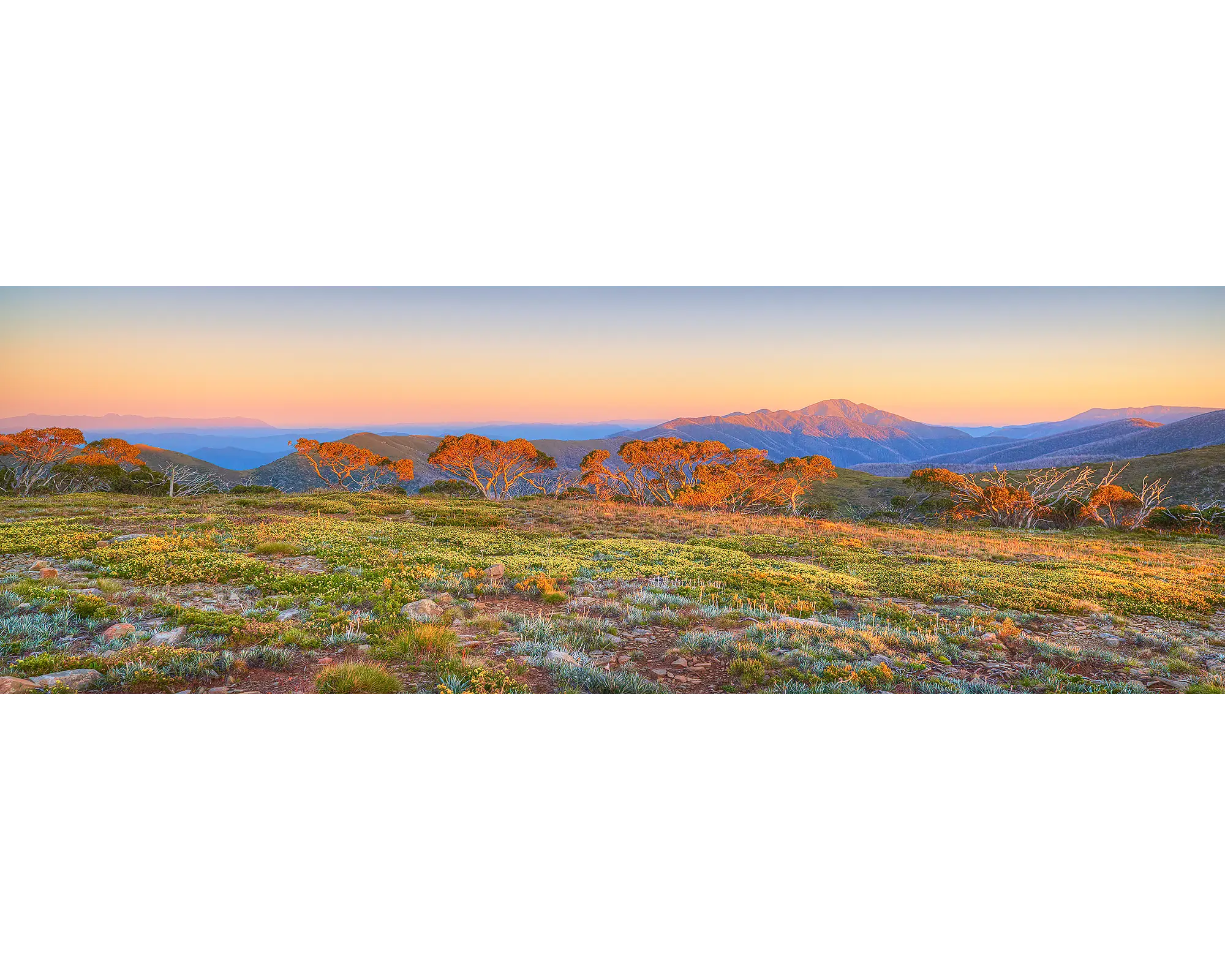 Day Break. Mount Feathertop sunrise, Alpine National Park, Victoria, Australia.