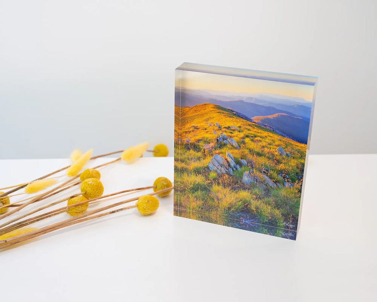 Days End. Acrylic block Alpine National Park Victoria, styled with dried flowers.