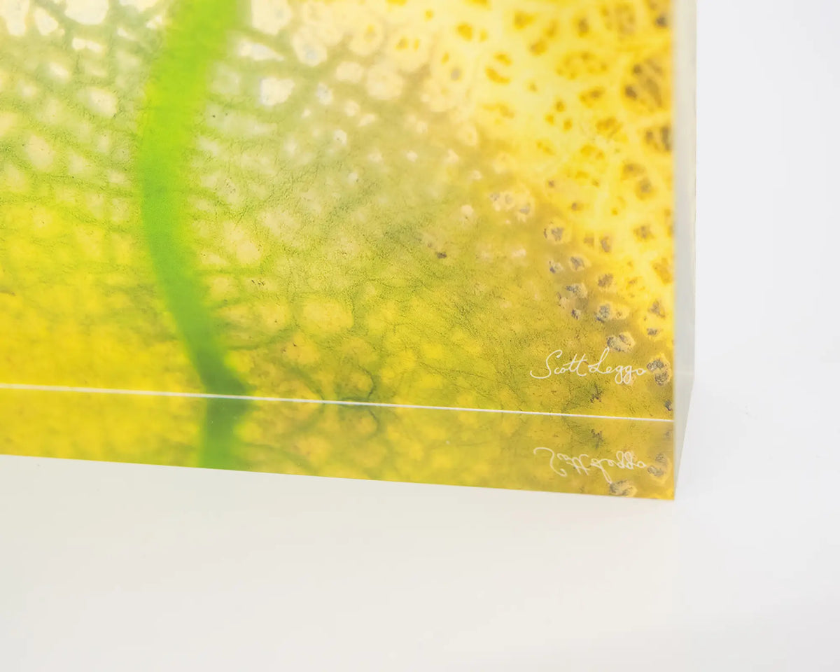 Dehydration. Acrylic block abstract aerial image of a dried dam New South Wales, close-up details.