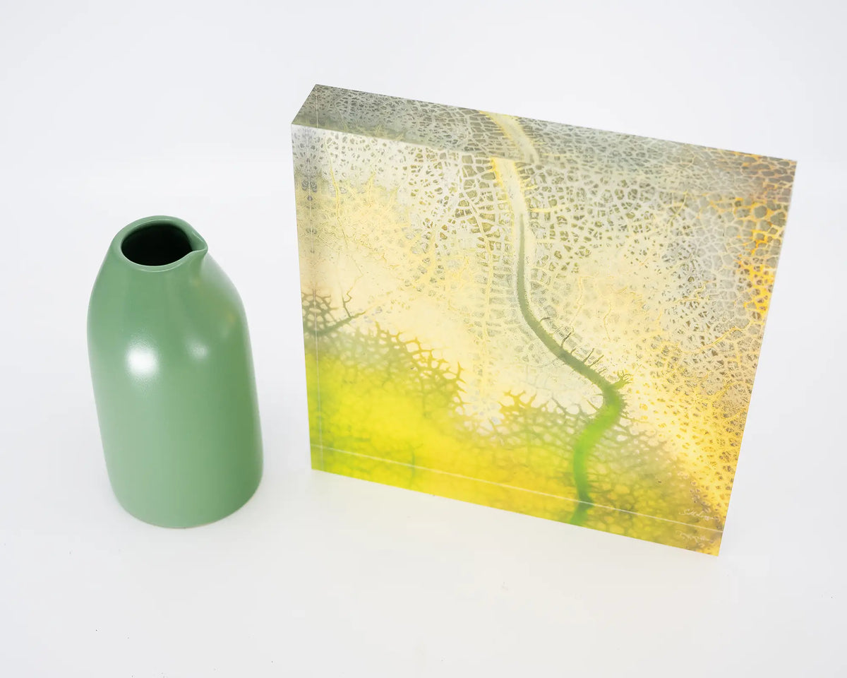 Dehydration. Acrylic block abstract aerial image of a dried dam New South Wales, styled with a small vase.