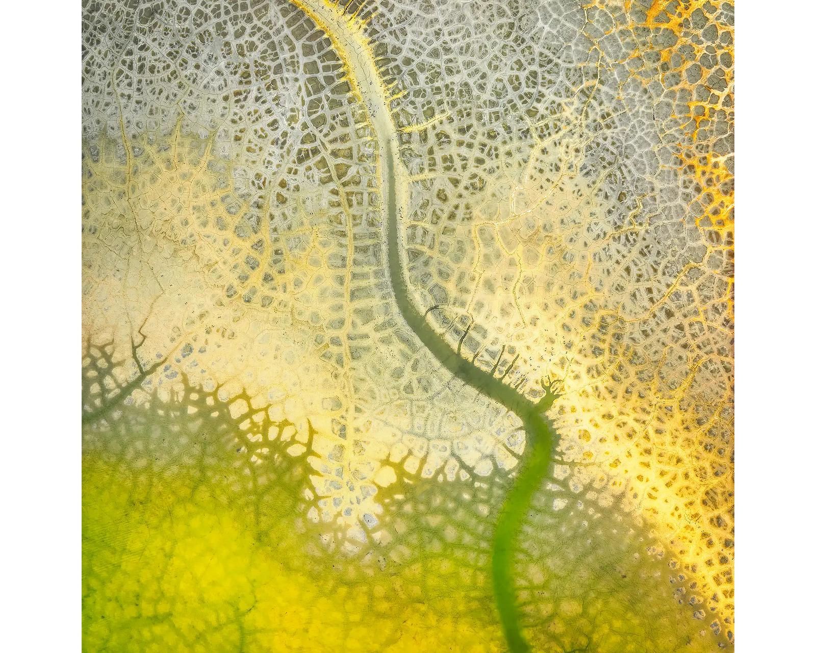 Australian made artwork. Acrylic desk block. Dehydration. New South Wales..