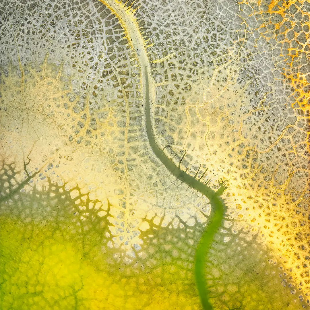 Dehydration - dried out dam, New South Wales