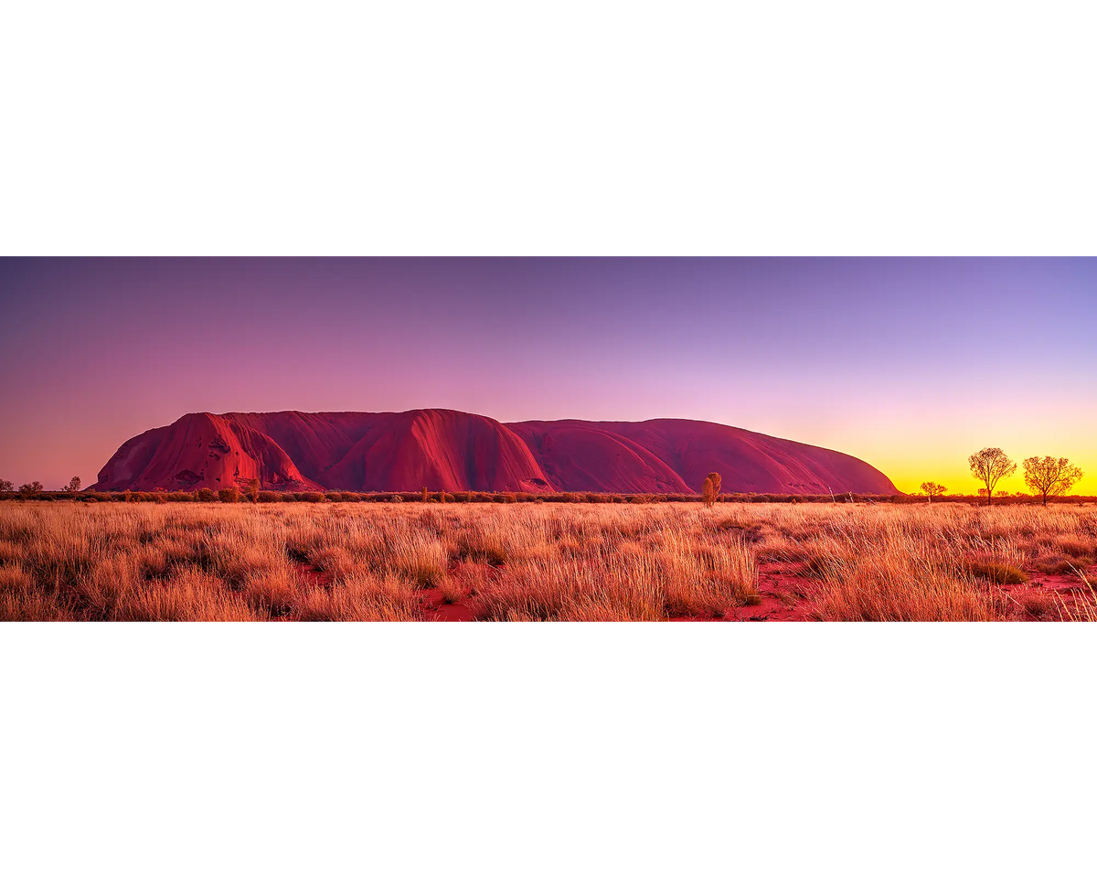 Desert Awakening. Uluru sunrise, Northern Territory, Australia.
