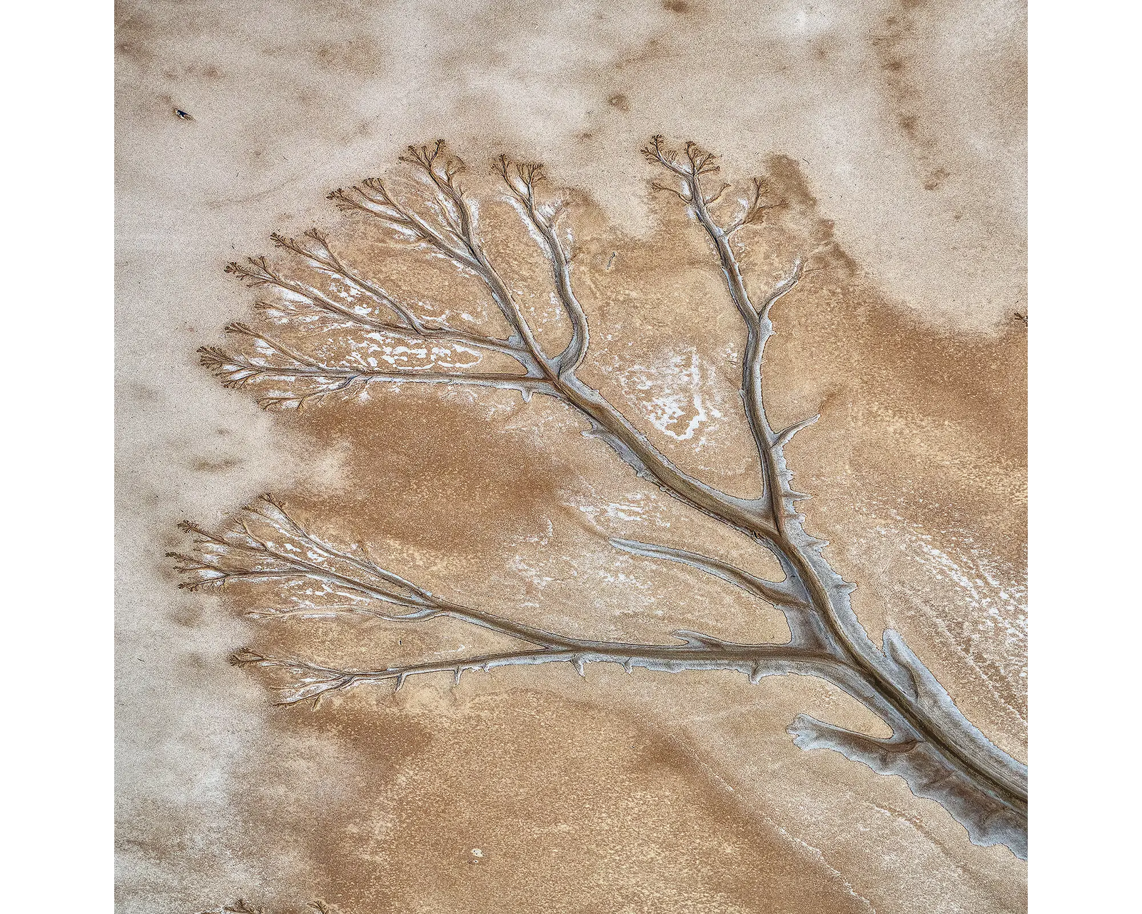 Dispersion. Aerial view of the King River, the Kimberley, Western Australia.