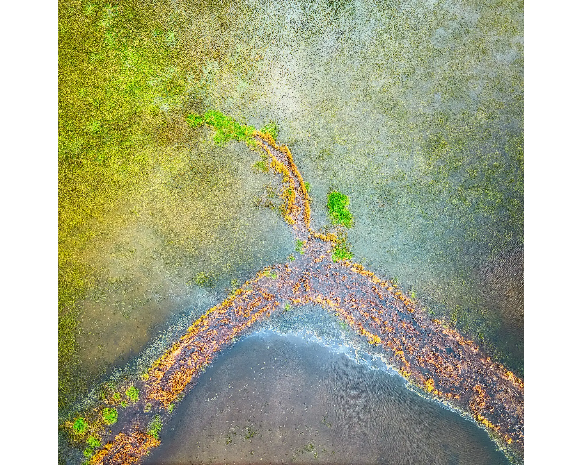 Divergent - Aerial view of Lake George, New South Wales, Australia.