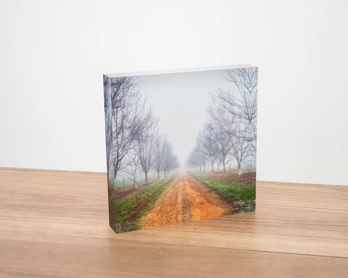 Down the Road. Acrylic block of a country driveway in fog sitting on desk.