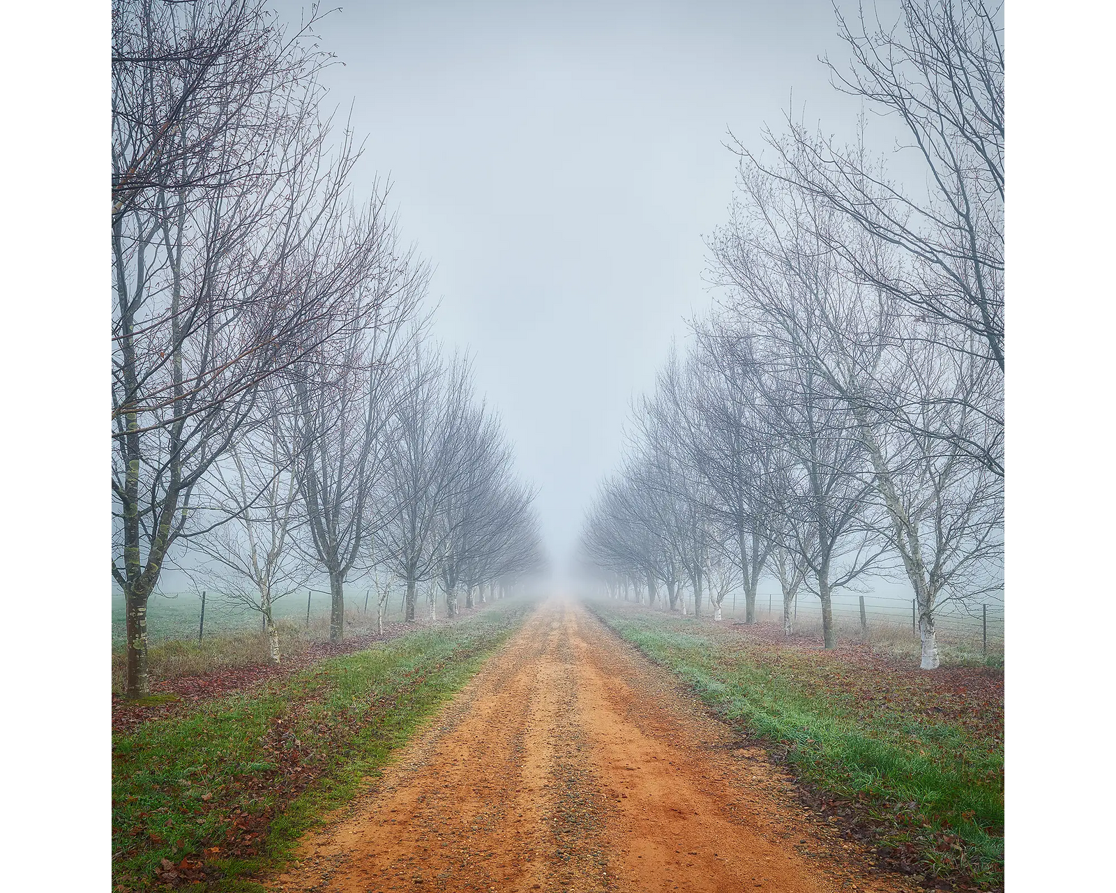 Down the Road acrylic block, country driveway in fog. 