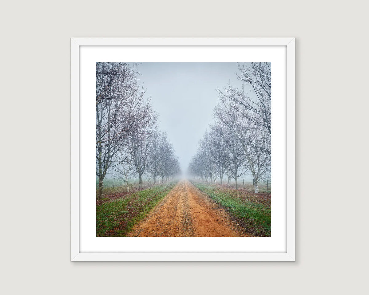Framed wall art print of a country road in mist and fog during Winter, Alpine Shire. 
