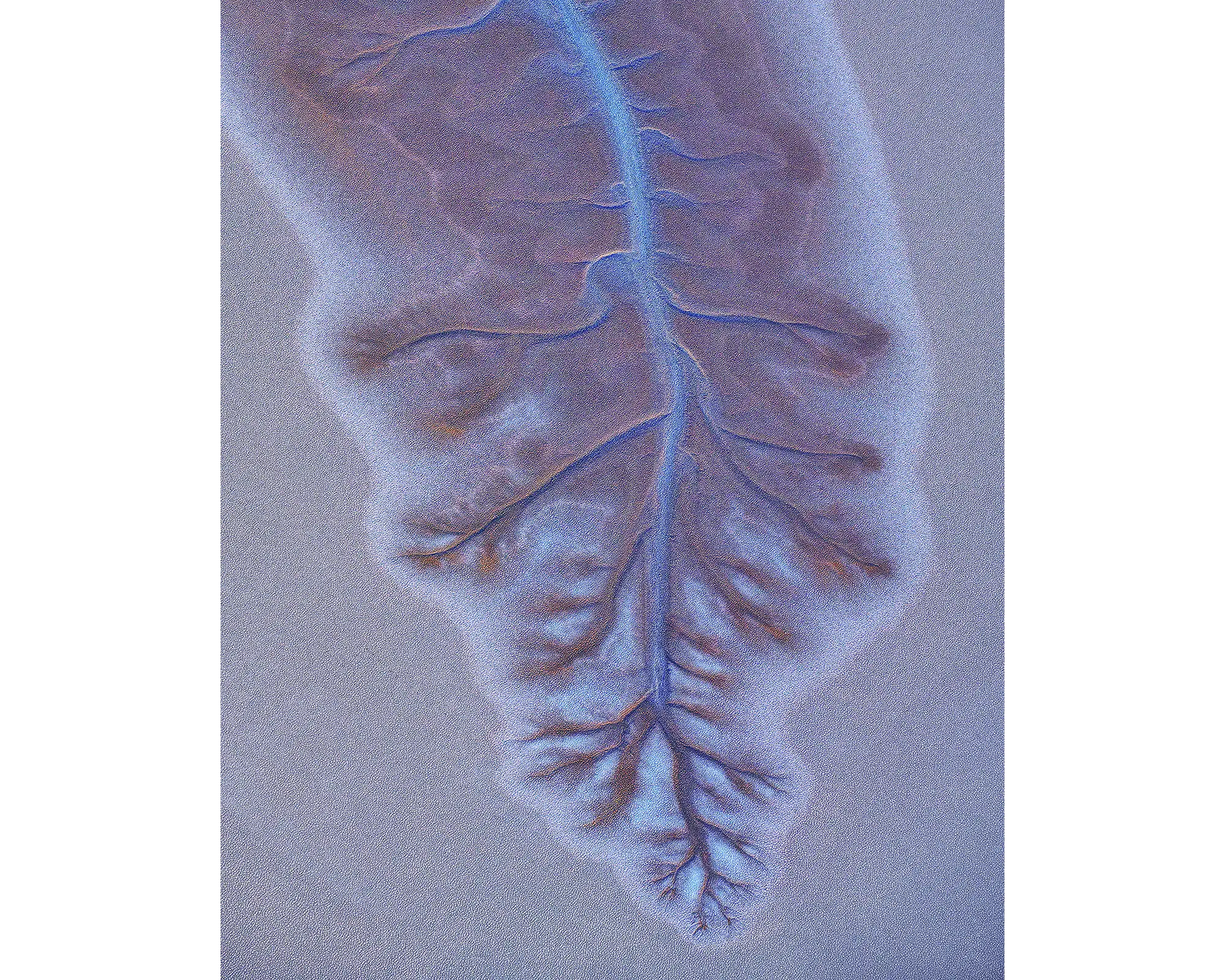 Downfall. King River, the Kimberley, Western Australia.