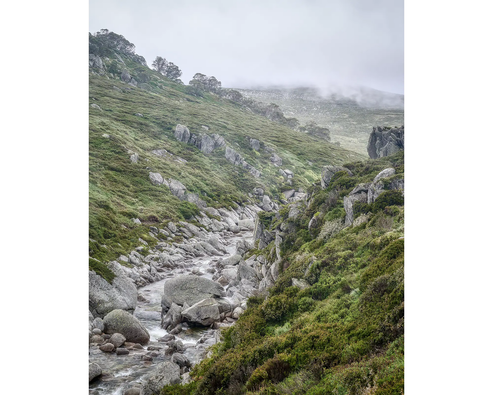 Downstream. Snowy River flowing over rocks, Kosciuszko National Park.