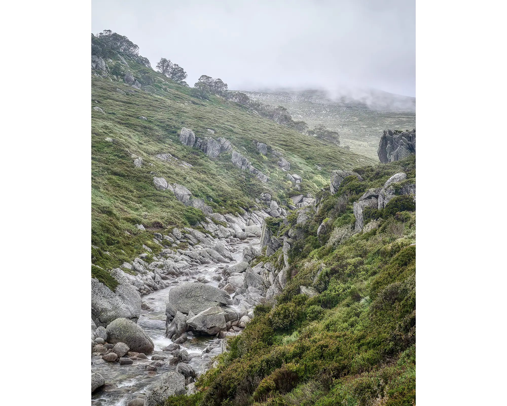 Downstream - Snowy River flowing over rocks, Kosciuszko National Park.