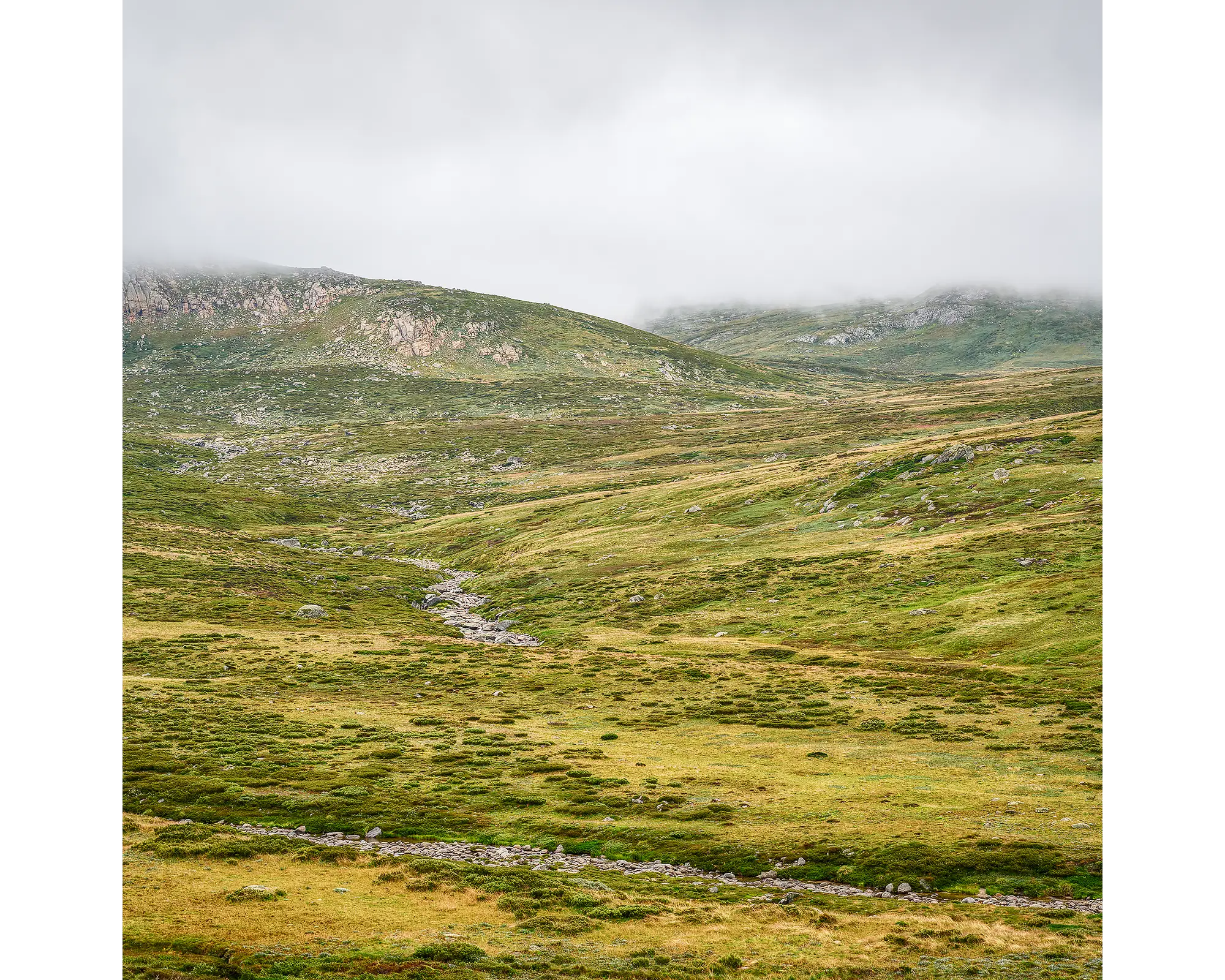 Fog and rolling green hills surrounding the Snowy River, Kosciuszko National Park, NSW. 