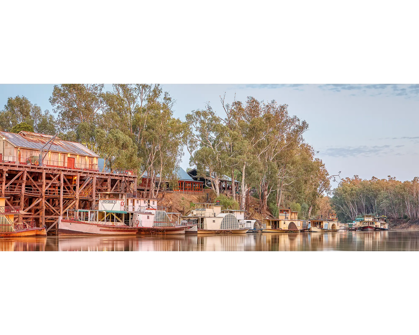 Echuca Lineup. Murray River and Echuca Wharf with paddle steamers at sunrise.