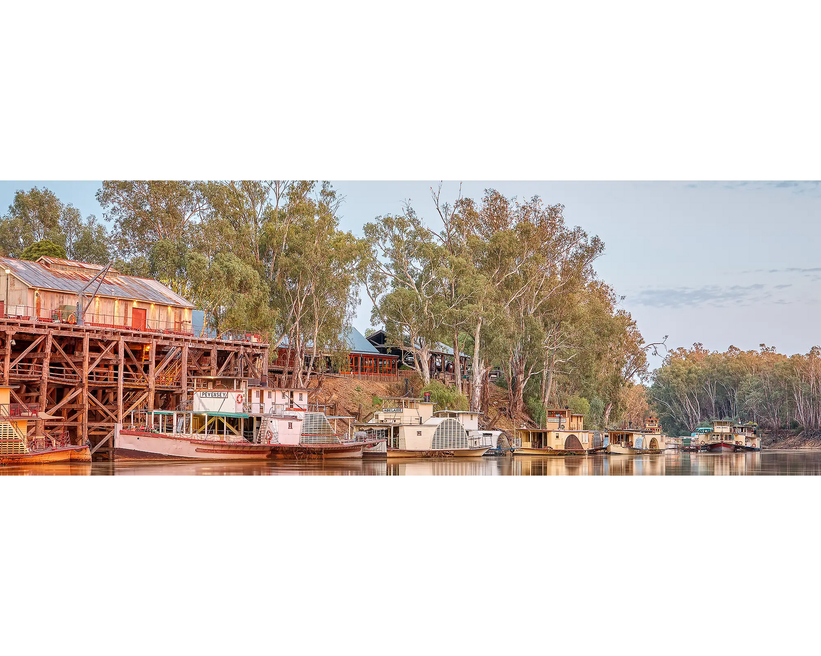 Echuca Lineup. Murray River and Echuca Wharf with paddle steamers.