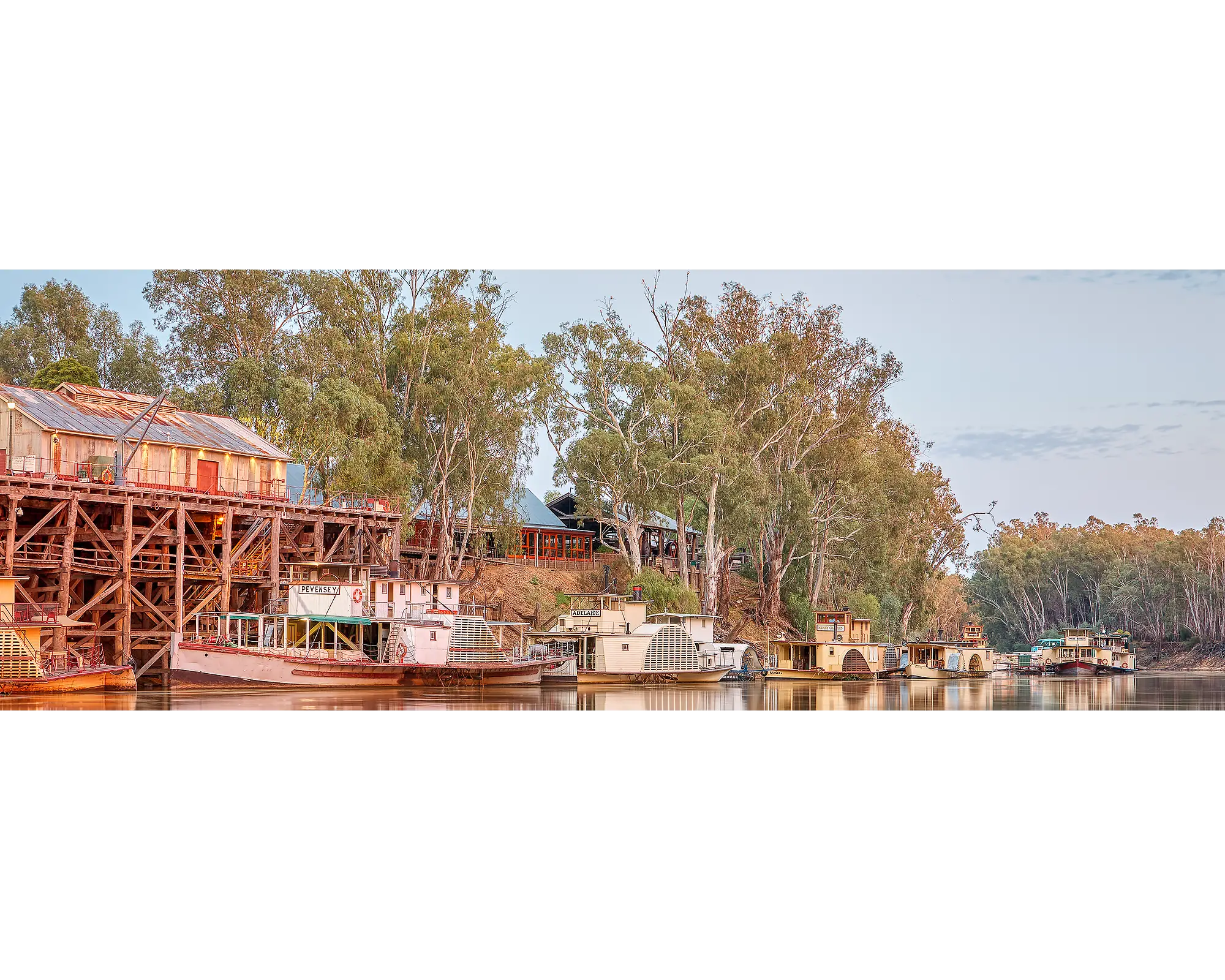Echuca Lineup. Murray River and Echuca Wharf with paddle steamers.