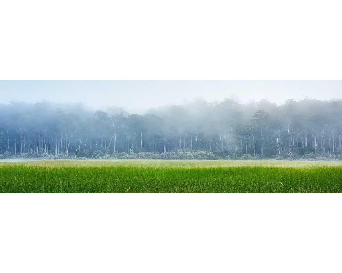 Edge Of Wilderness. Morning fog over Lake St Claire, Tasmania, Australia.