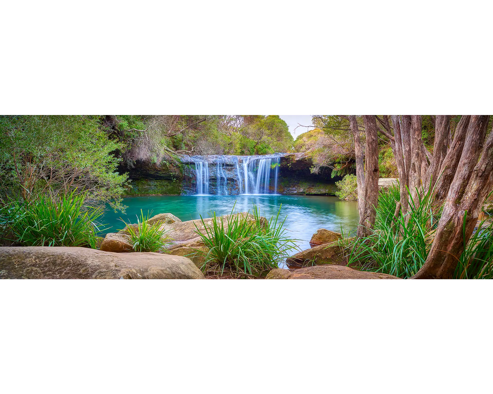 Emerge. Waterfall, Budderoo National Park, Southern Highlands, New South Wales, Australia.