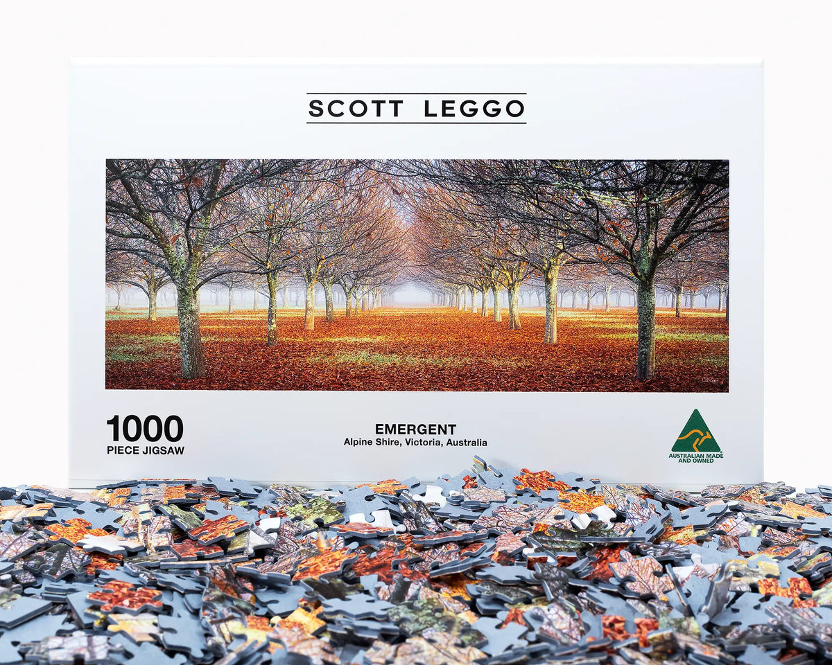 Emergent 1000 piece jigsaw puzzle. Box with jigsaw puzzle pieces.