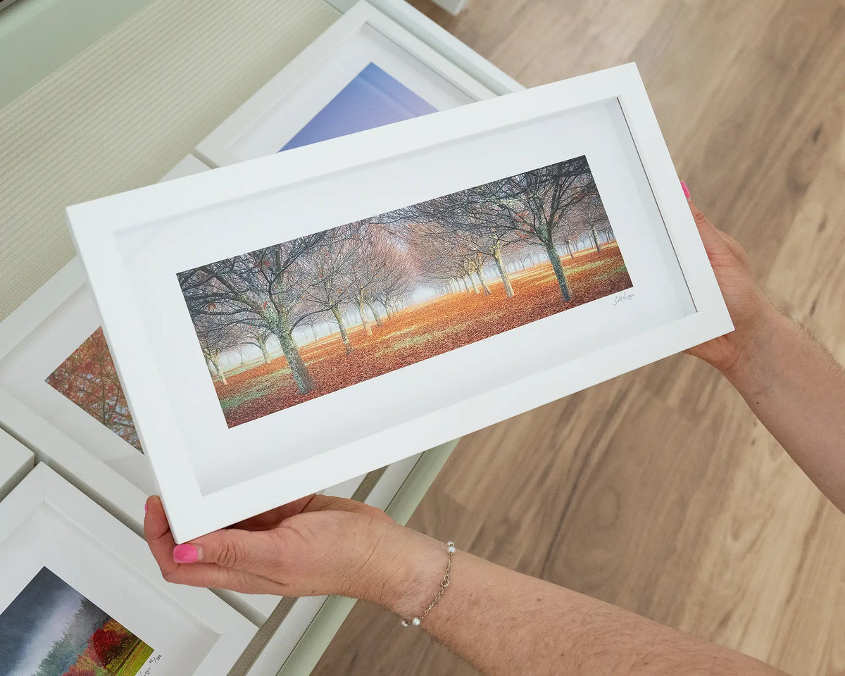 Emergent. Orchard in fog at sunrise with white frame being held in hands.
