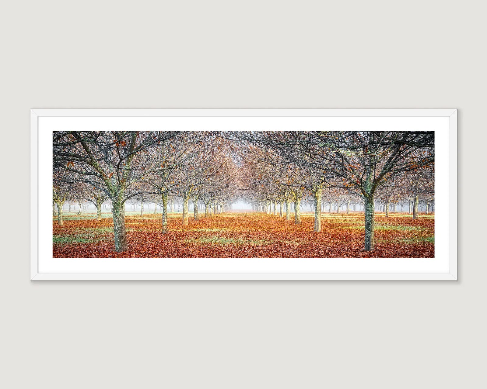 Framed wall art print of an orchard with autumn leaves on the ground in the Alpine Shire. 