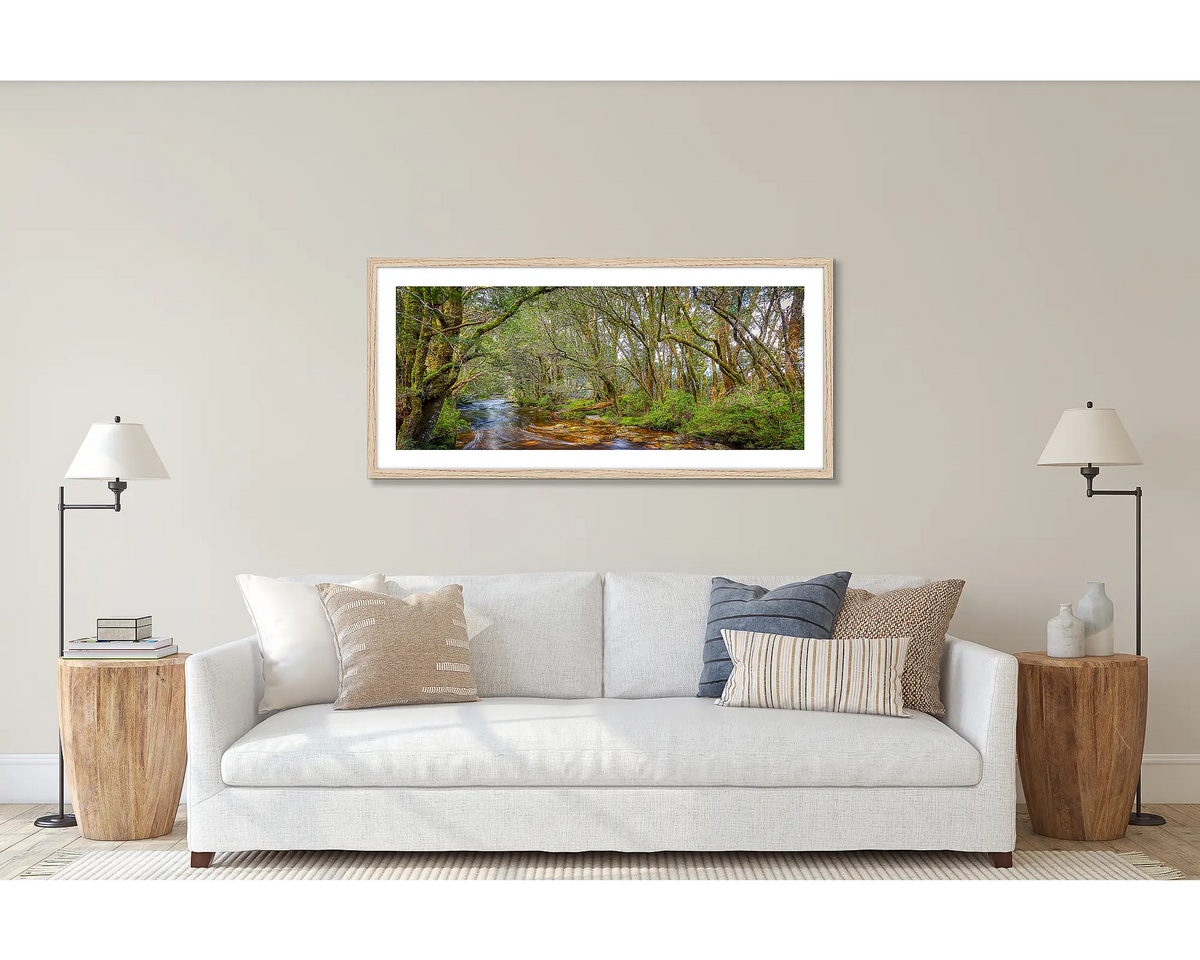 Enchanted. Panoramic Tasmanian wall art print with a Tasmanian Oak frame, hanging above a couch.