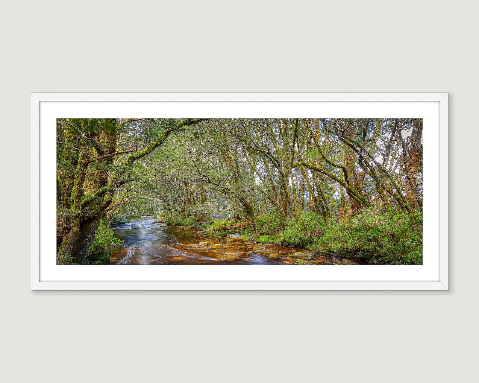 Framed wall art print of Pencil Pine Creek running through a rainforest near Cradle Mountain. 