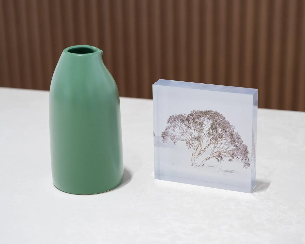 Enduring The Freeze. Acrylic block of single snow gum in snow storm Charlotte Pass, Kosciuszko National Park, on desk styled with a small vase.
