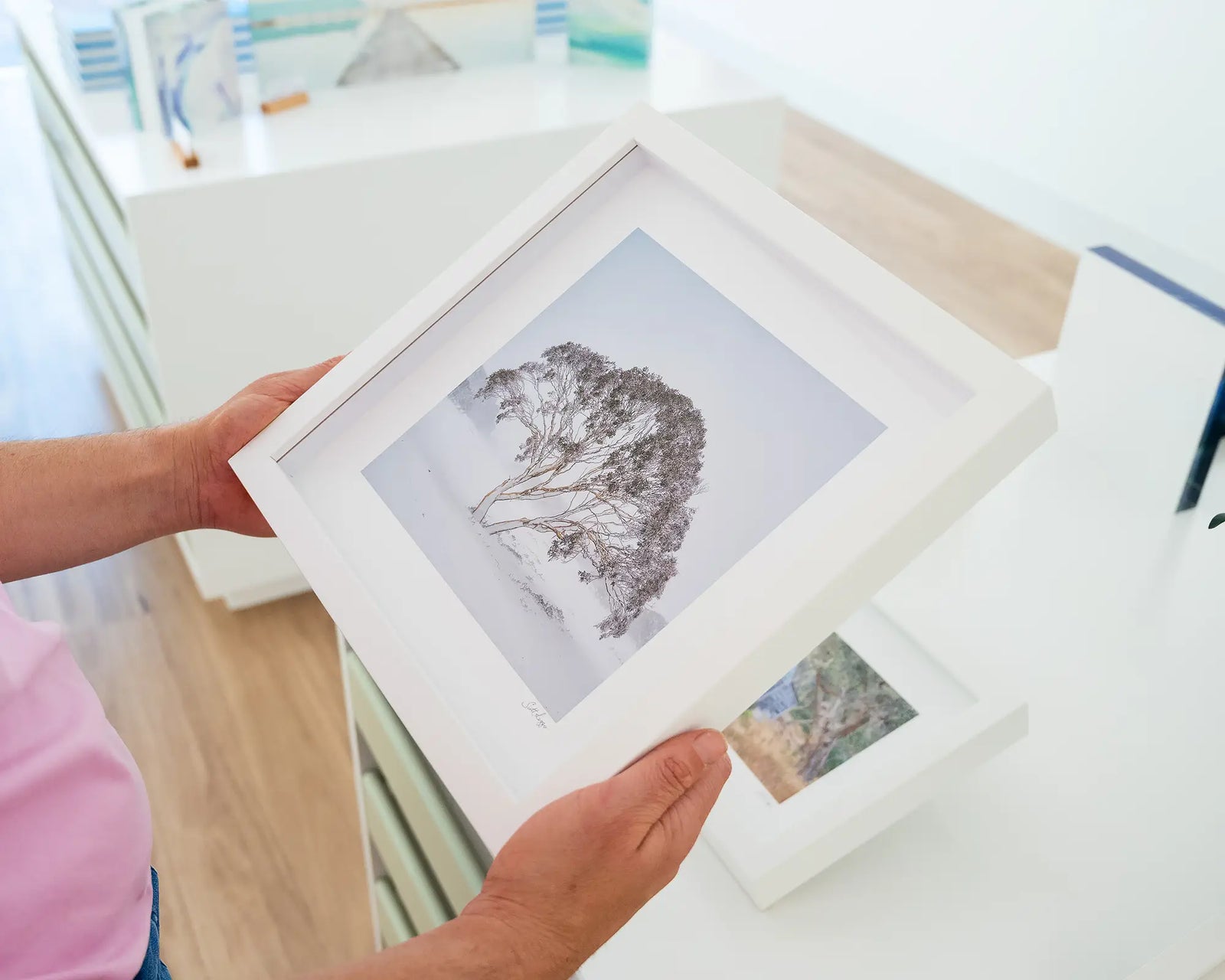 Framed photograph of a solo snow gum weathering a snow storm at Charlottes Pass. 