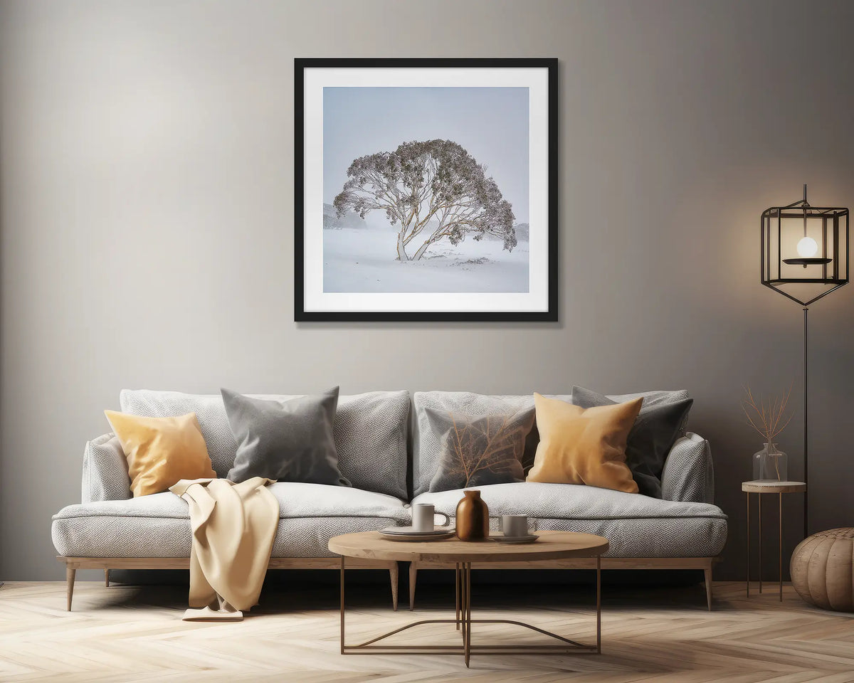 Enduring the Freeze. Wall art print of a snow gum in a winter storm, framed in a black frame, hung above a couch. 