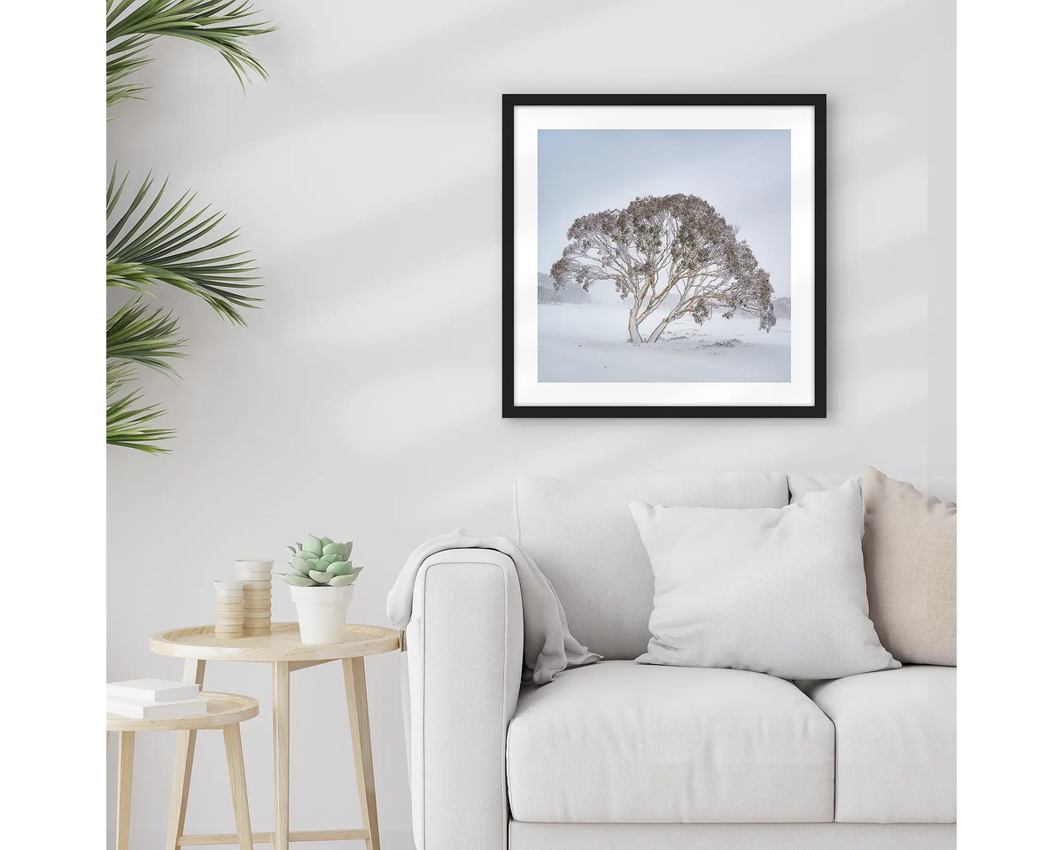 Enduring the Freeze. Wall art print of a snow gum in a winter storm, framed in a black frame and hung above a lounge room couch. 