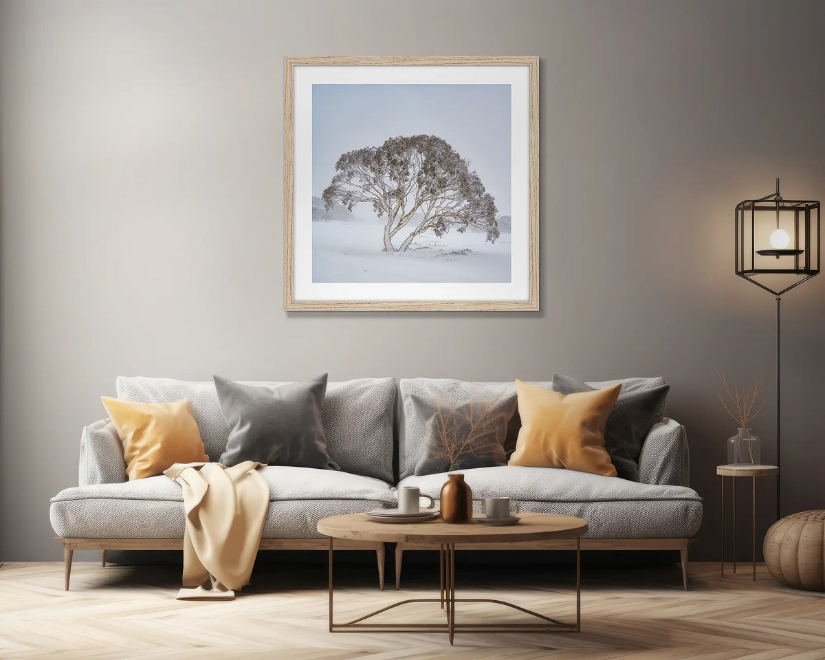 Enduring the Freeze. Wall art print of a snow gum in a winter storm, framed in a Tasmanian Oak frame, hung above a couch. 