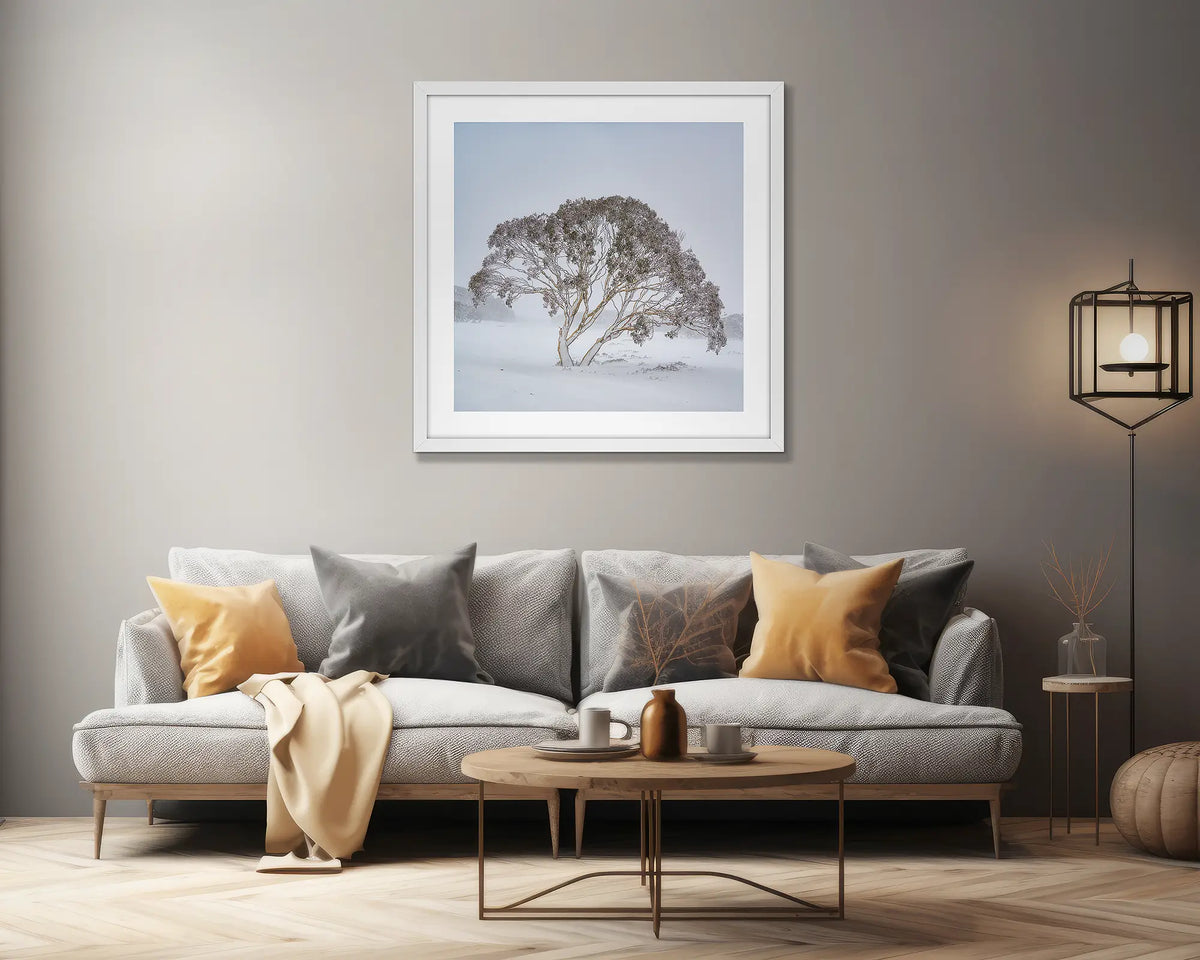 Enduring the Freeze. Wall art print of a snow gum in a winter storm, framed in a white frame, hung above a couch. 