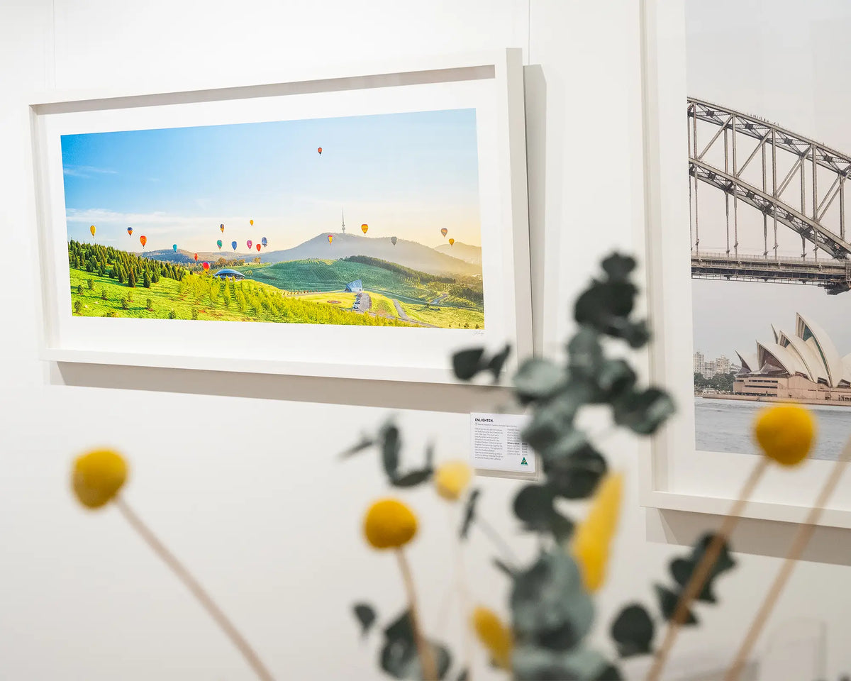 Enlighten. Canberra balloon festival artwork with white frame hanging on gallery wall with flowers in the foreground.
