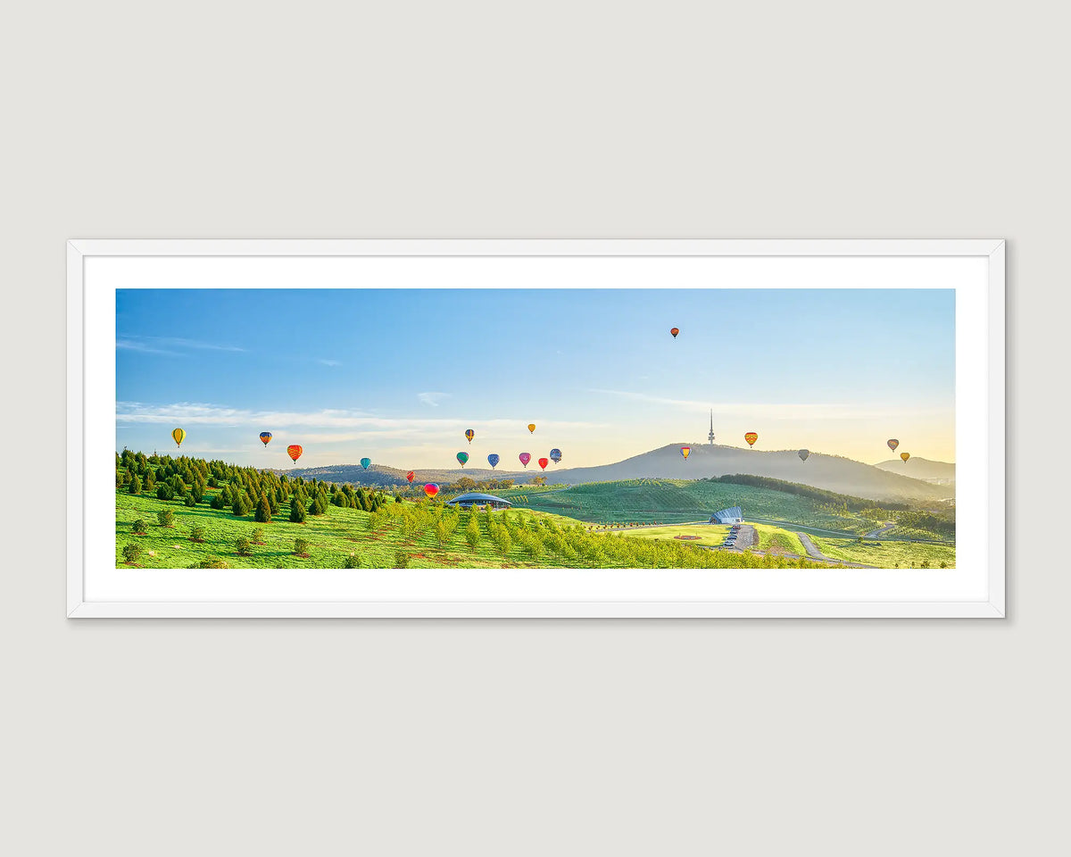 Framed photograph of balloons over the arboretum at sunrise with Black Mountain on the horizon. 