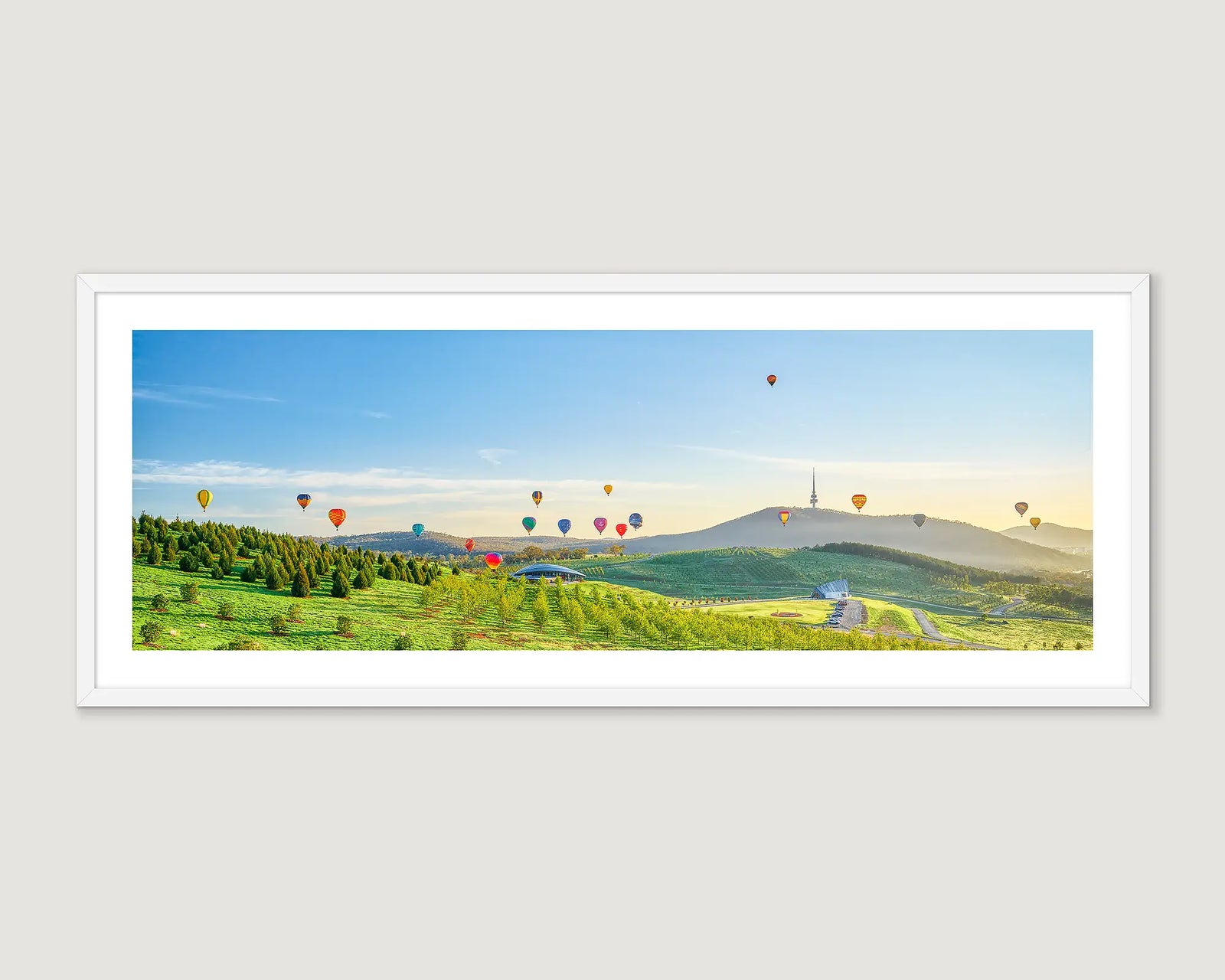 Framed photograph of balloons over the arboretum at sunrise with Black Mountain on the horizon. 