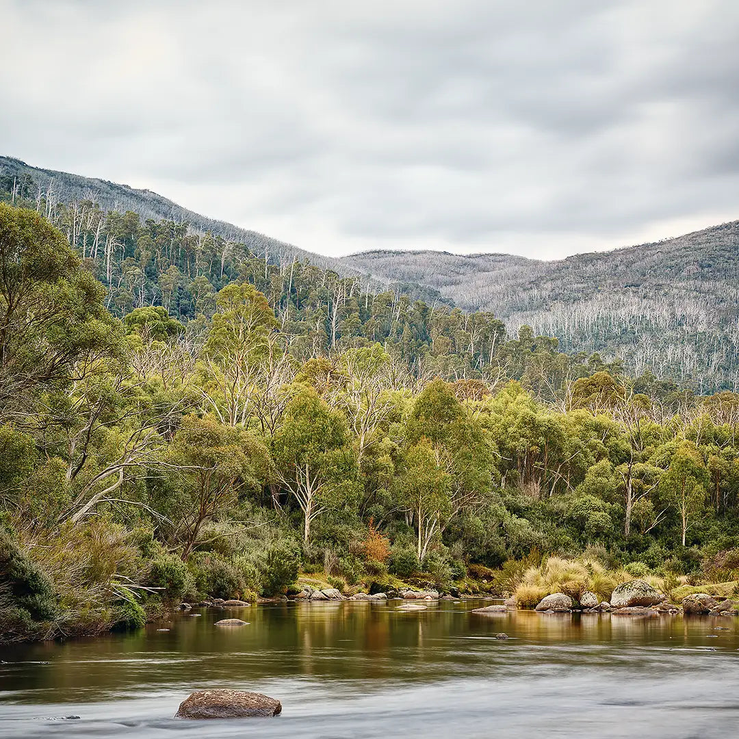 Escape To Nature - Thredbo River, Kosciuszko National Park