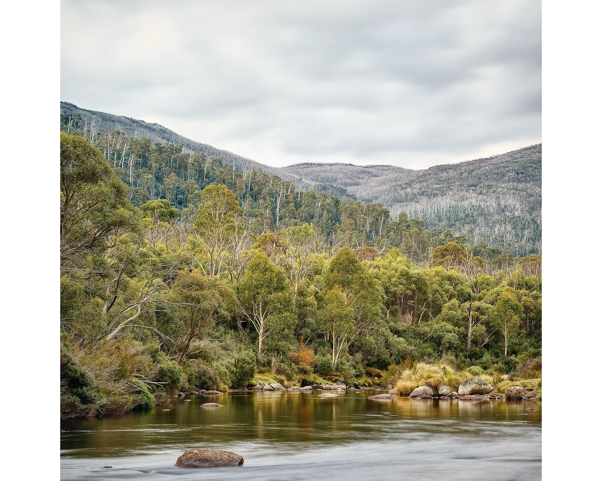 Escape To Nature - Thredbo River, Kosciuszko National Park.