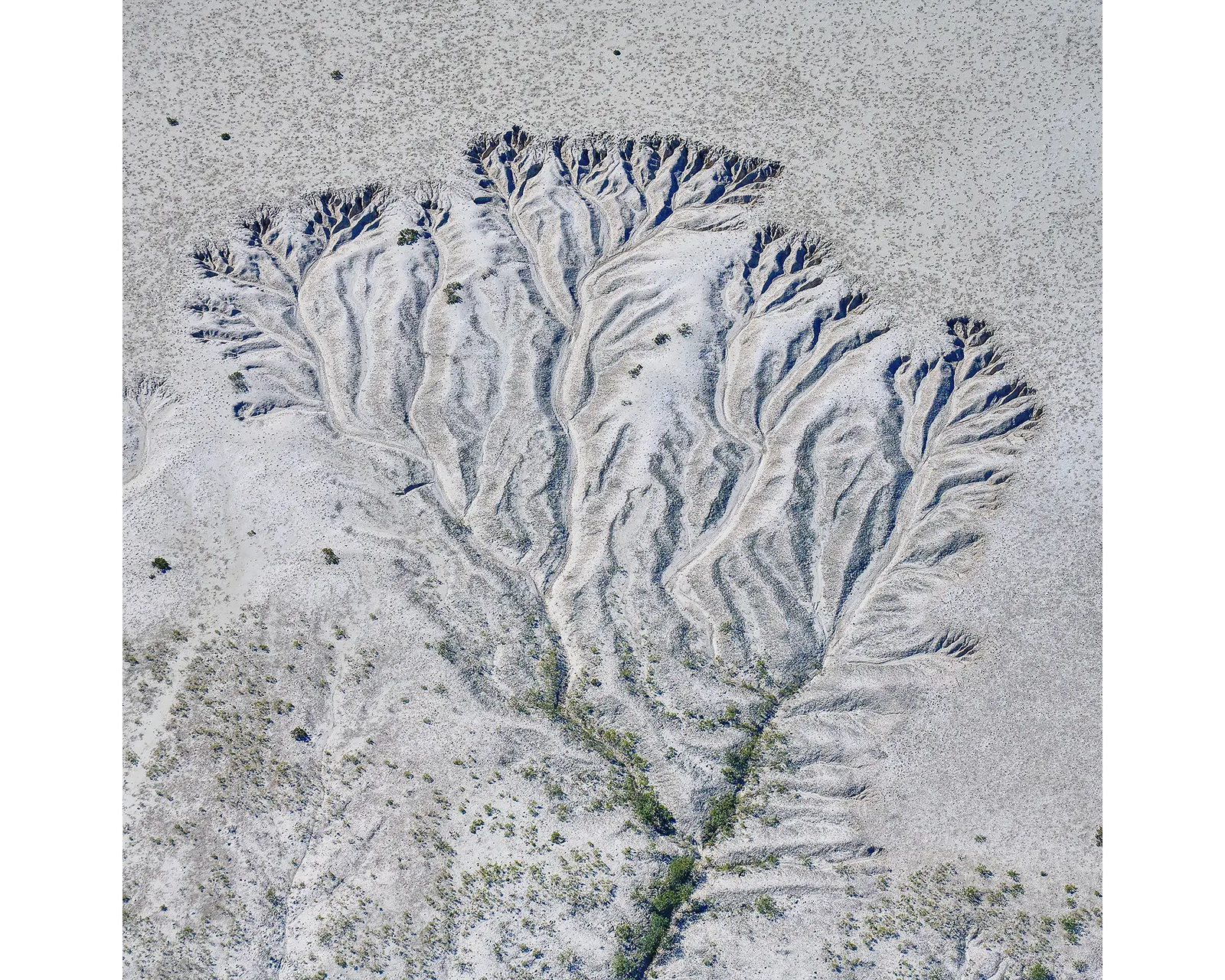 Etched. Tidal patterns in sand, Willie Creek, Kimberley, Western Australia.