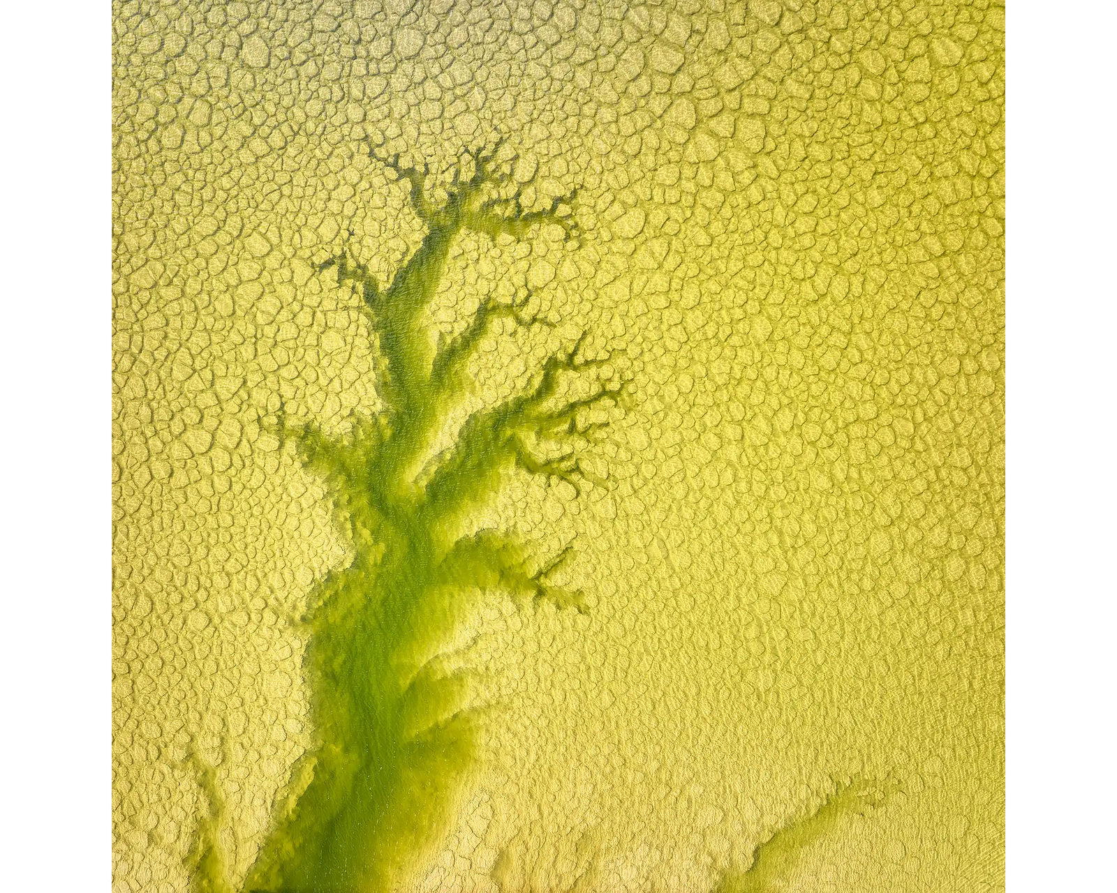 Extend. Aerial view of a dam, New South Wales, Australia.
