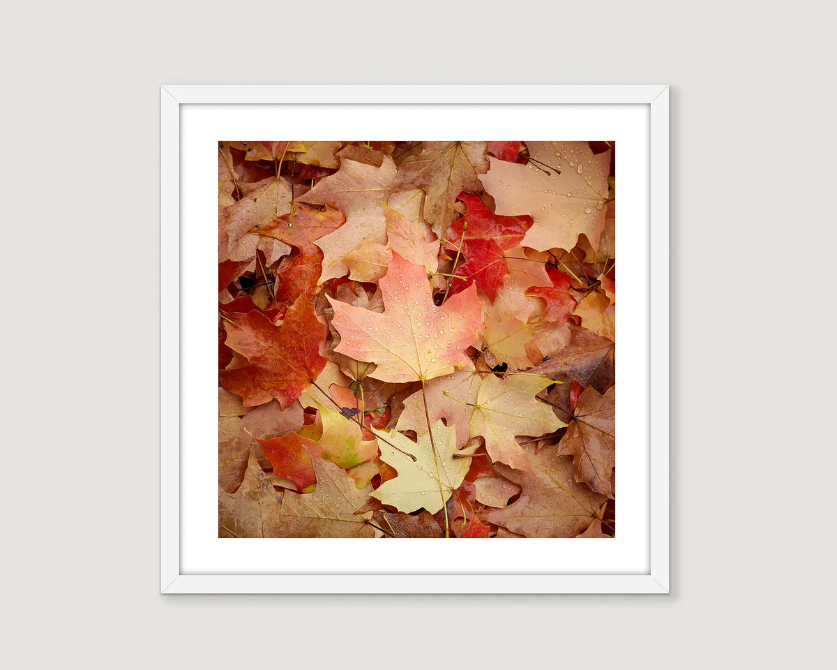 Framed abstract wall art print of a pile of autumn leaves. 