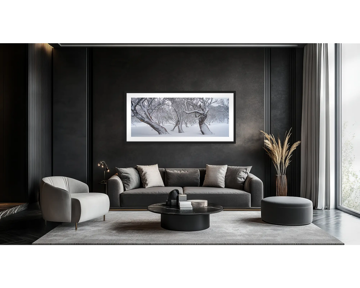 Family Twist. Old twisted snow gums in snow, wall art print in a black frame hung in a lounge room. 