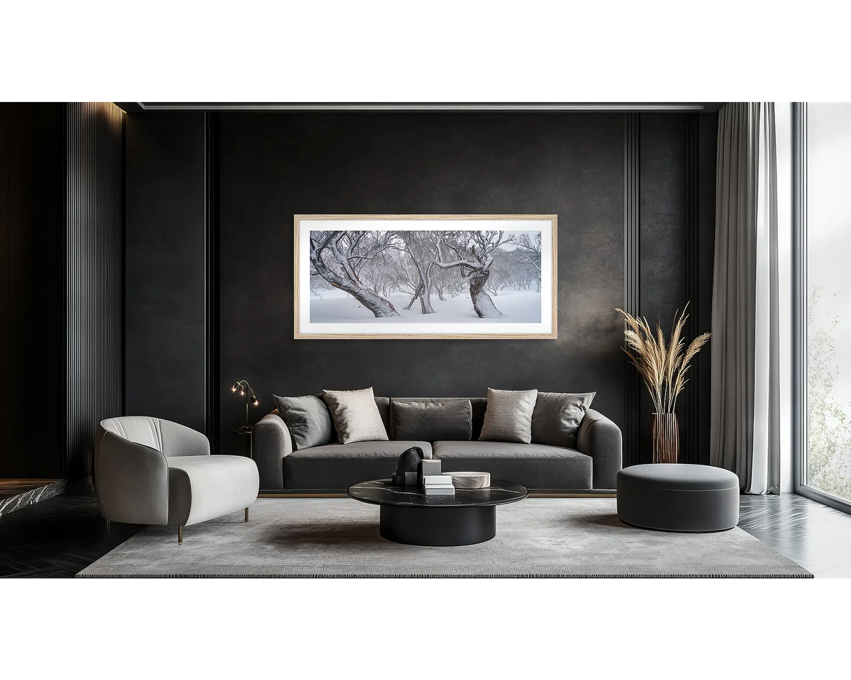 Family Twist. Old twisted snow gums in snow, wall art print in a timber frame hung in a lounge room. 